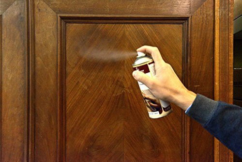 Borma Holtz Spray Can